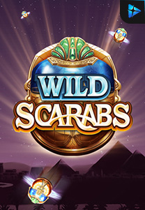 Wild Scarabs