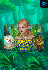 Enchanted Forest
