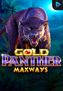 Gold Panther Maxways