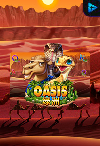 Oasis