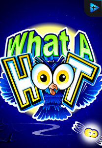 What A Hoot
