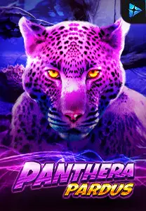 Panthera Pardus