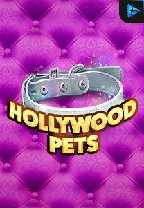 Hollywood Pets