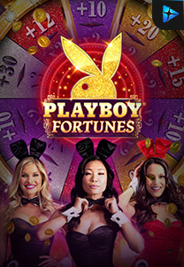 Playboy Fortunes