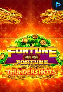 Fortune Fortune: Thunder
