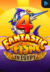 4 Fanstastic Fish In Egypt