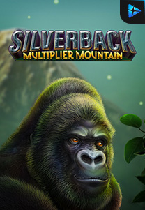 Silverback - Multiplier 