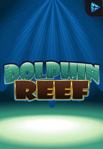 Dolphin Reef