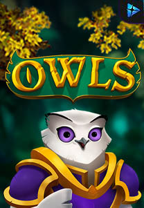 Owls