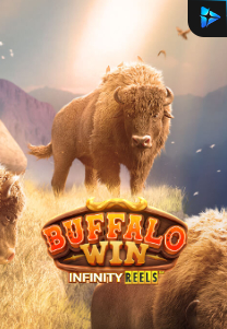 Buffalo Win