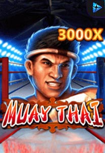 Muay Thai Champion