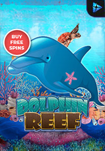 Dolphinreef