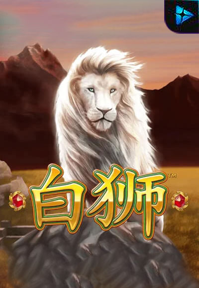 Bai Shi