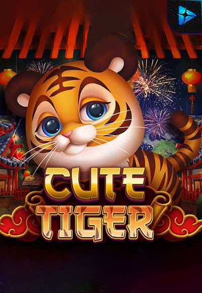 Cute Tiger