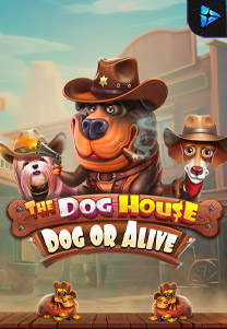 The Dog House - Dog Or Alive