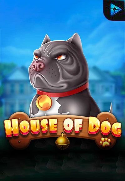House Of Dog