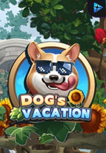 Dog's Vacation