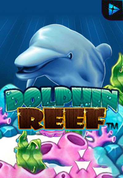 Dolphin Reef