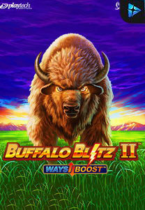 Buffalo Blitz II