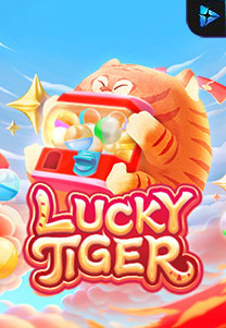 Lucky Tiger