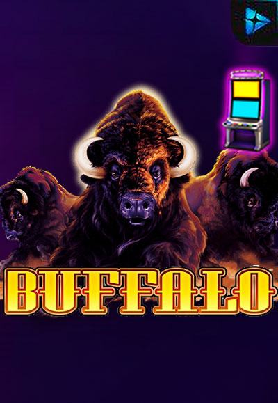 Buffalo