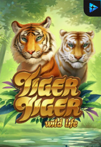 Tiger_Tiger