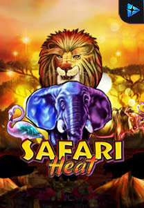 Safariheat
