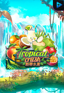 Tropical Crush