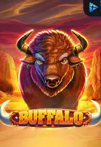 Buffalo