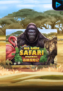 Big Game Safari