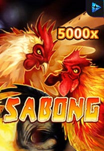 Sabong
