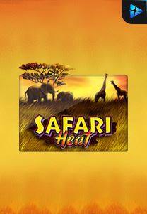 Safariheat