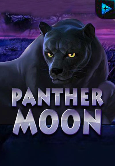 Panther Moon