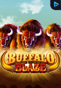 Buffalo Blaze