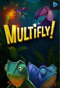 Multifly!