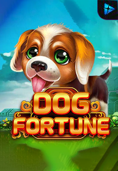 Dog Fortune